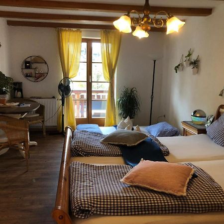 Ferienwohnung Sonne Schliengen Bagian luar foto