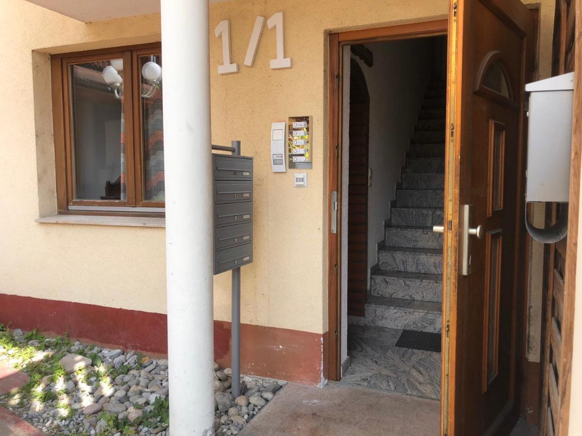Ferienwohnung Sonne Schliengen Bagian luar foto
